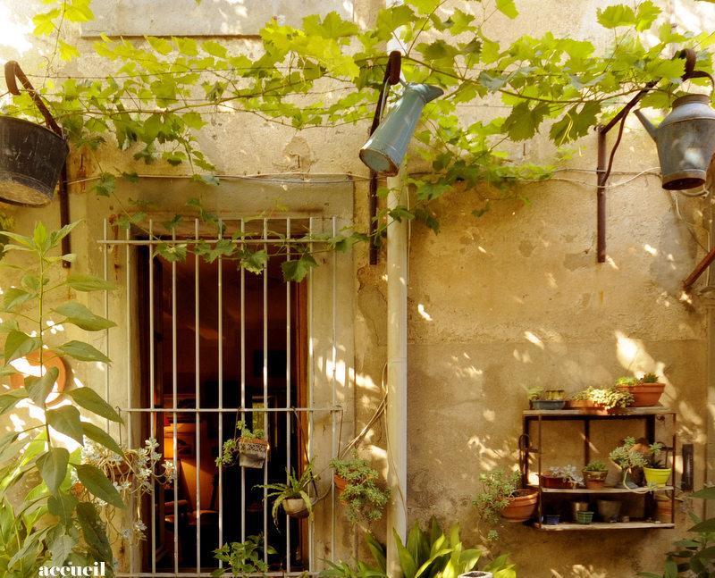 Hotel La Vigne Bleue Olonzac Exteriér fotografie